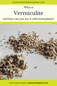 Wat is Vermiculiet en hoe kun je het gebruiken bij kamerplanten?