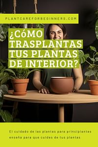 Jardinero de mujer asiática en macetas de nueva planta y trasplante de  macetas para plantas de interior.concepto de cuidado de plantas
