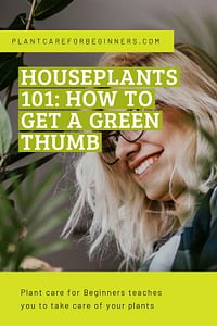 Houseplants 101: How to get a green thumb