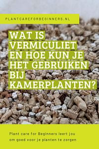 Wat is Vermiculiet en hoe kun je het gebruiken bij kamerplanten?