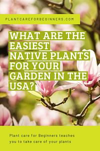 What are the easiest native plants for your garden in the USA?