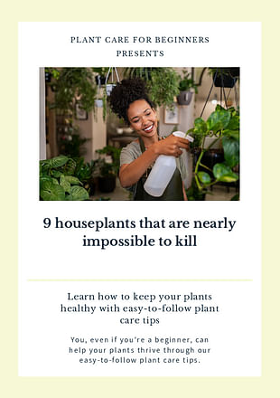 9 houseplants that are nearly impossible to kill