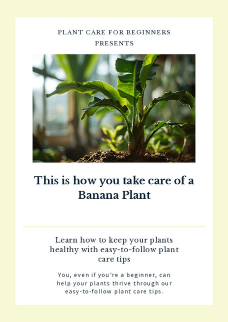 This is how you take care of a Banana Plant (without letting it die)