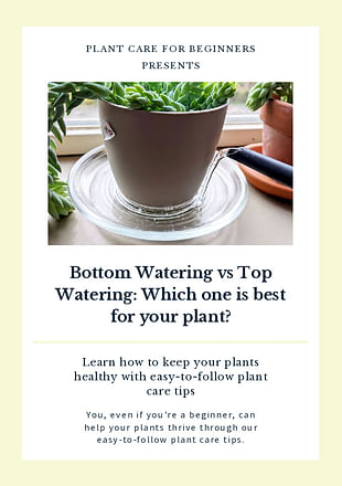 Bottom Watering vs Top Watering: Which one is best for your plant?