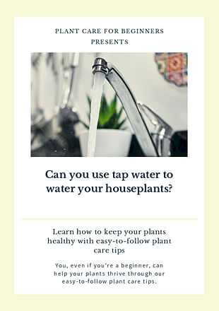 Can you use tap water to water your houseplants?