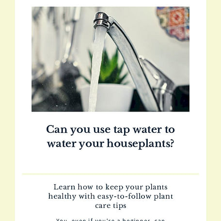 Can you use tap water to water your houseplants?