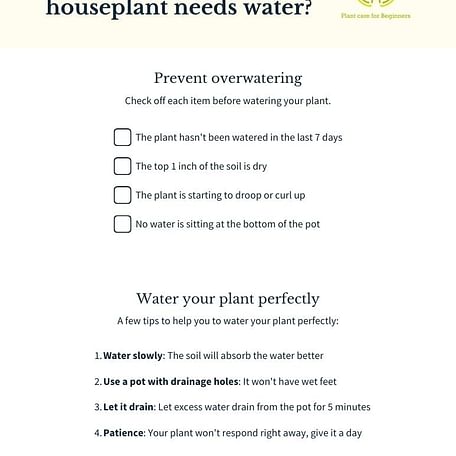 Checklist: How do you know if your houseplant needs water?