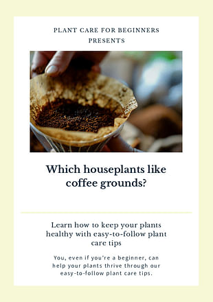Which houseplants like coffee grounds?