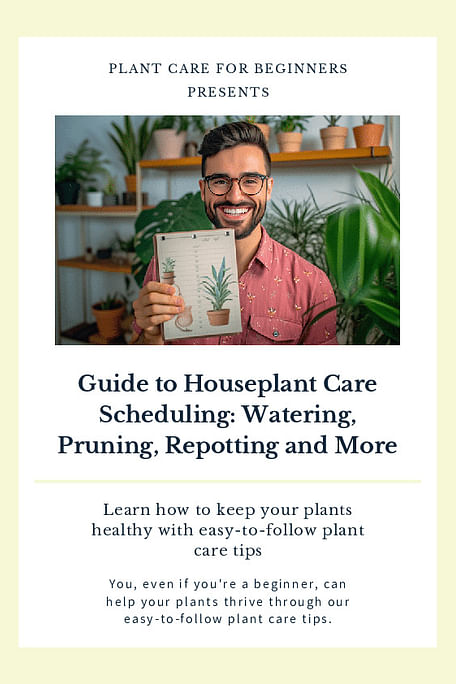 Guide to Houseplant Care Scheduling: Watering, Pruning, Repotting and More