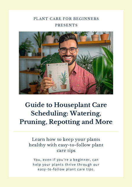 Guide to Houseplant Care Scheduling: Watering, Pruning, Repotting and More