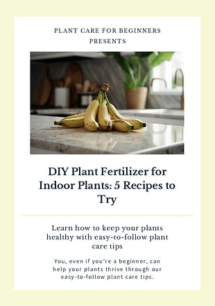 DIY Plant Fertilizer for Indoor Plants: 5 Recipes to Try