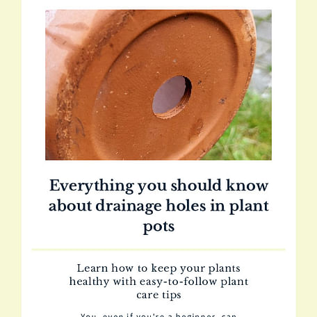 Everything you should know about drainage holes in plant pots
