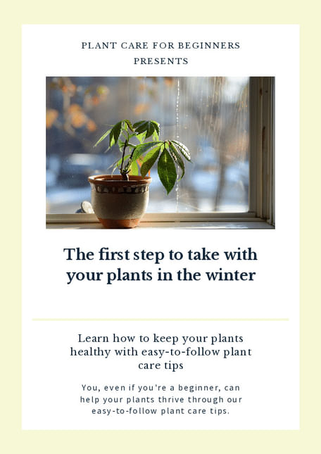 The first step to take with your plants in the winter