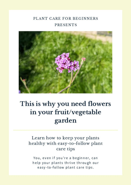 This is why you need flowers in your fruit/vegetable garden
