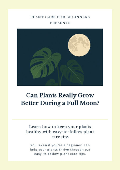 Can Plants Really Grow Better During a Full Moon?