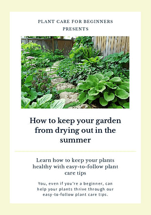 How to keep your garden from drying out in the summer