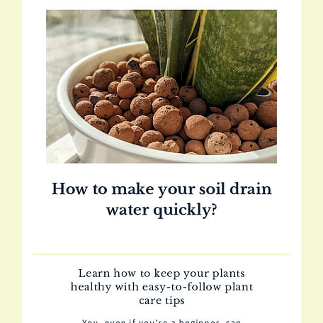 How to make your soil drain water quickly?