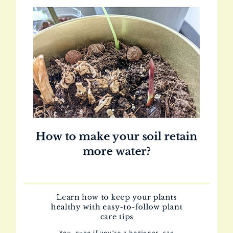 How to make your soil retain more water?