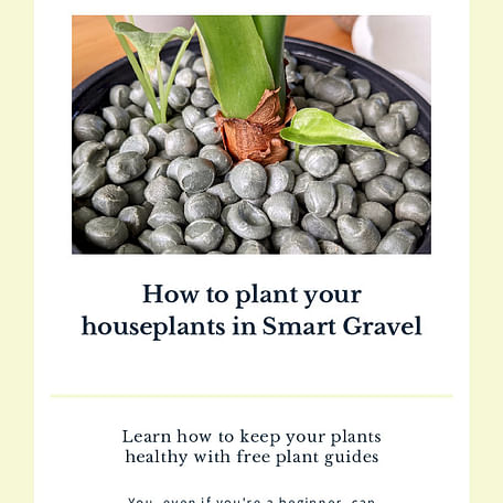 How to plant your houseplants in Smart Gravel