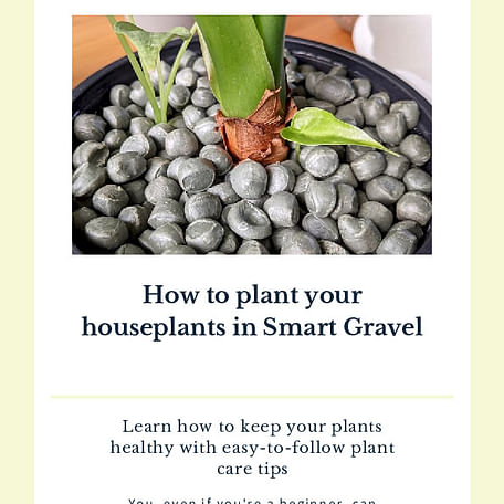 How to plant your houseplants in Smart Gravel