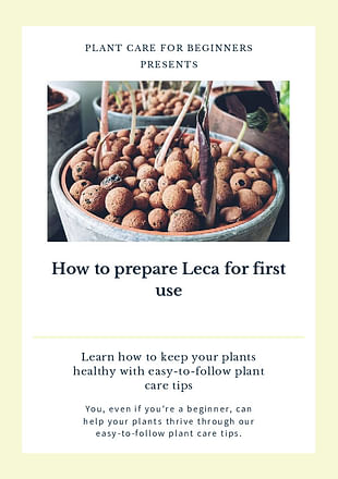 How to prepare Leca for first use