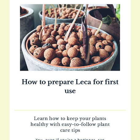 How to prepare Leca for first use