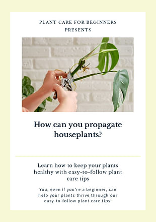 How can you propagate houseplants?