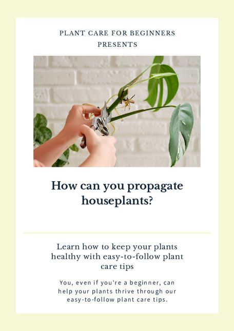 How can you propagate houseplants?