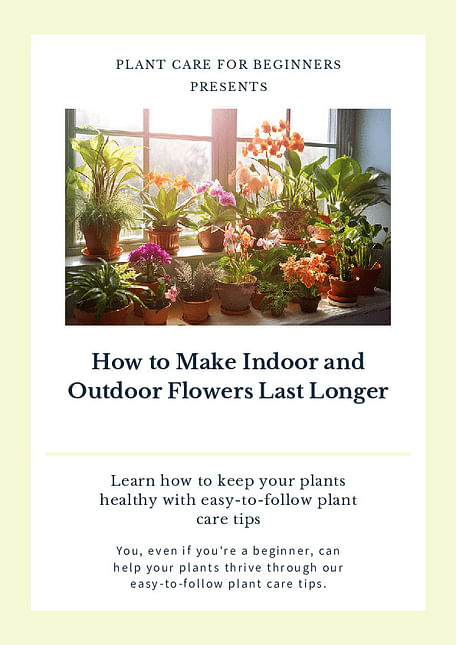 How to Make Indoor and Outdoor Flowers Last Longer