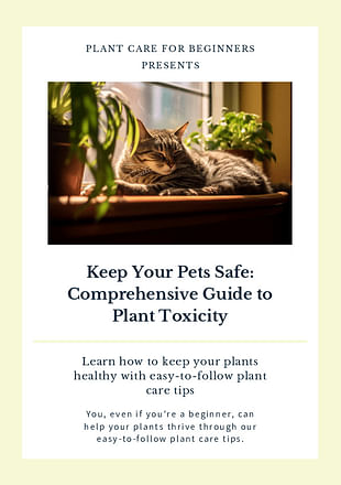 Keep Your Pets Safe: Comprehensive Guide to Plant Toxicity