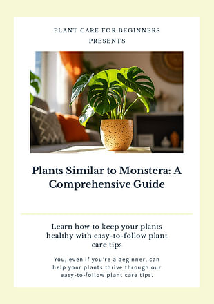 English Ivy Plants Care: Guide & Tips – KORU ONE