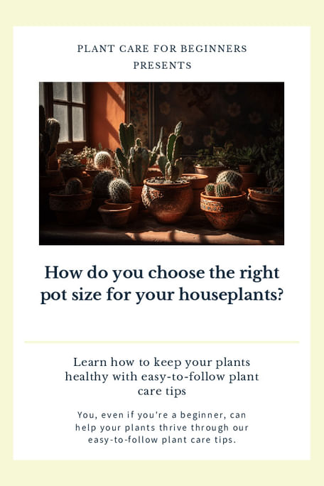 Shop For Your How Do You Choose The Right Pot Size For Your Houseplants Shop For Your How Do You Choose The Right Pot Size For Your Houseplants