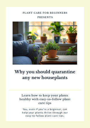 Why you should quarantine any new houseplants