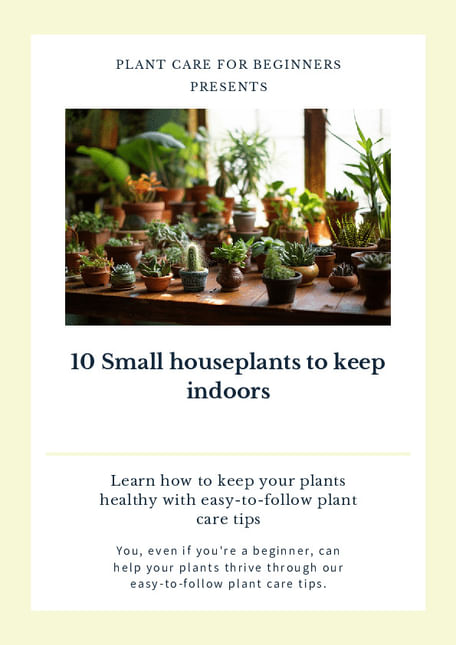 10 Small houseplants to keep indoors