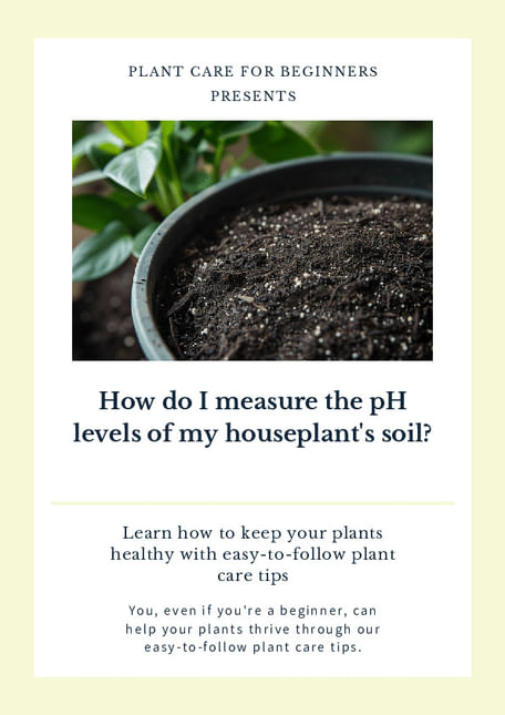 How do I measure the pH levels of my houseplant's soil?
