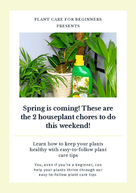 Spring is coming! These are the 2 houseplant chores to do this weekend!