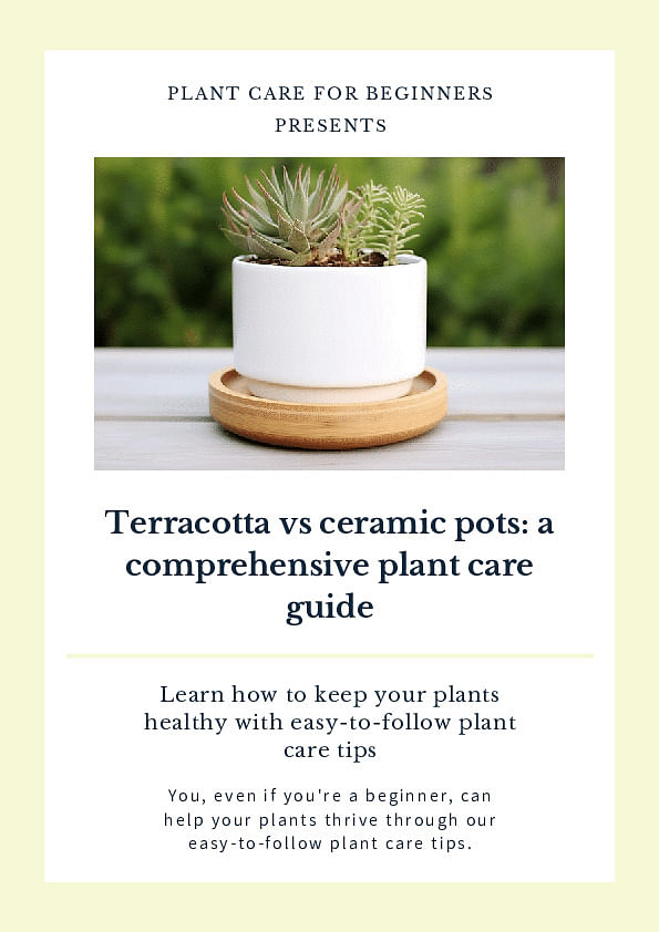 Terracotta vs ceramic pots: a comprehensive plant care guide