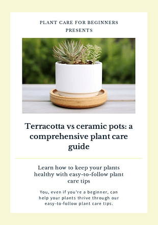 Terracotta vs ceramic pots: a comprehensive plant care guide