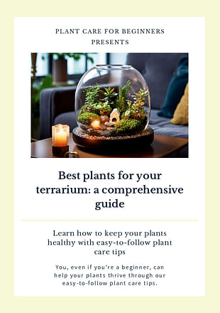 Best plants for your terrarium: a comprehensive guide