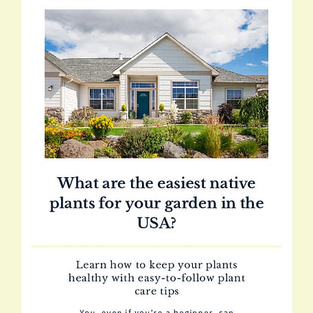 What are the easiest native plants for your garden in the USA?