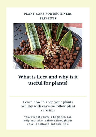 What is Leca and why is it useful for plants?