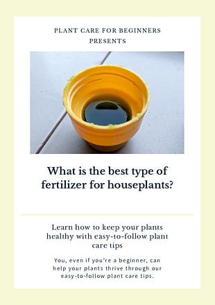 What is the best type of fertilizer for houseplants?