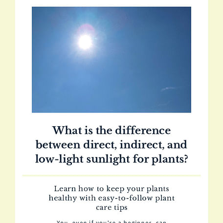 What is the difference between direct, indirect, and low-light sunlight for plants?