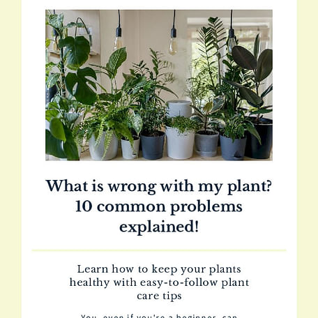 What is wrong with my plant? 10 common problems explained!