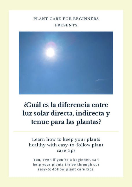 ¿Cuál es la diferencia entre luz solar directa, indirecta y tenue para las plantas?
