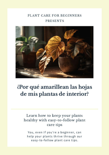 ¿Por qué amarillean las hojas de mis plantas de interior?