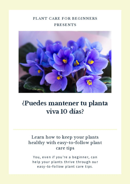 ¿Puedes mantener tu planta viva 10 días?