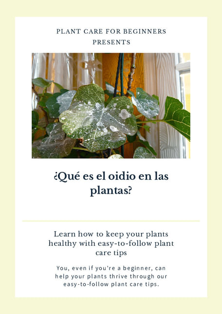 ¿Qué es el oidio en las plantas?