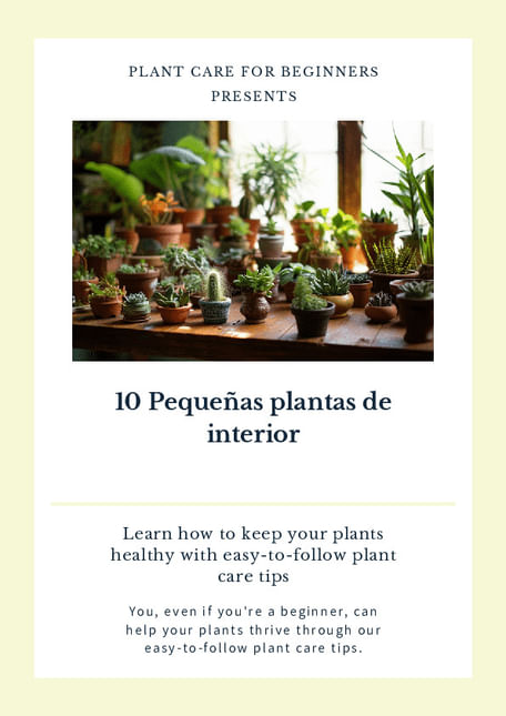 10 Pequeñas plantas de interior