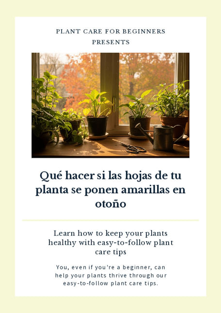 Qué hacer si las hojas de tu planta se ponen amarillas en otoño